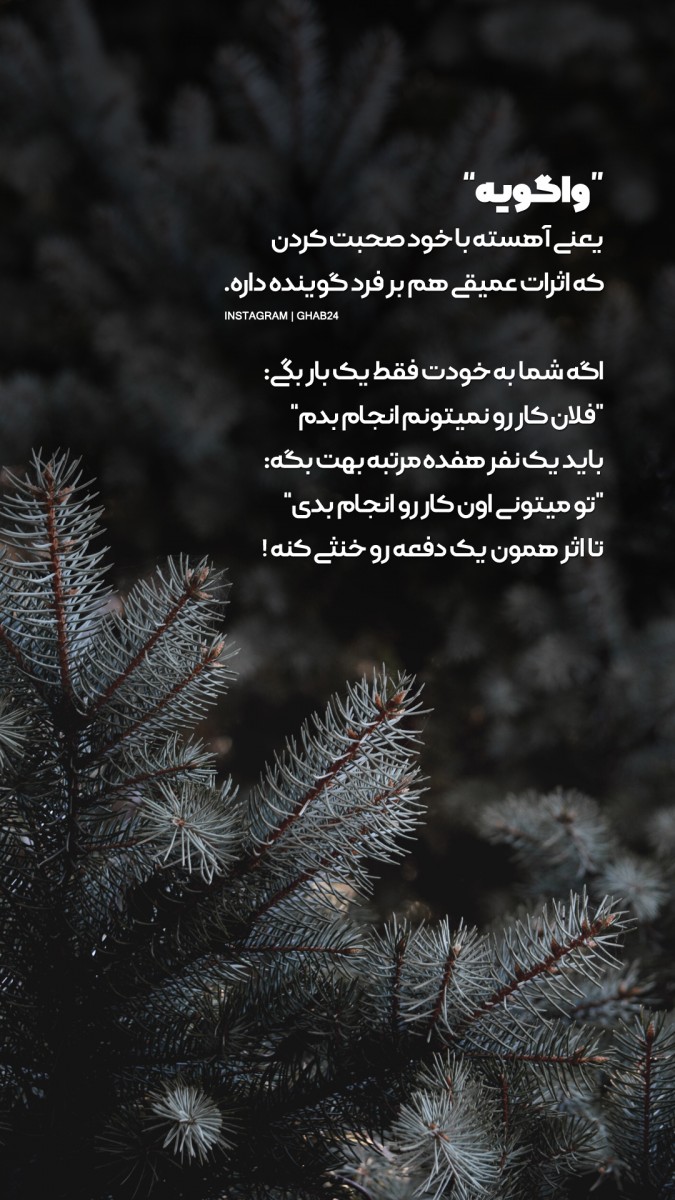 واگویه-توانستن-خواستن